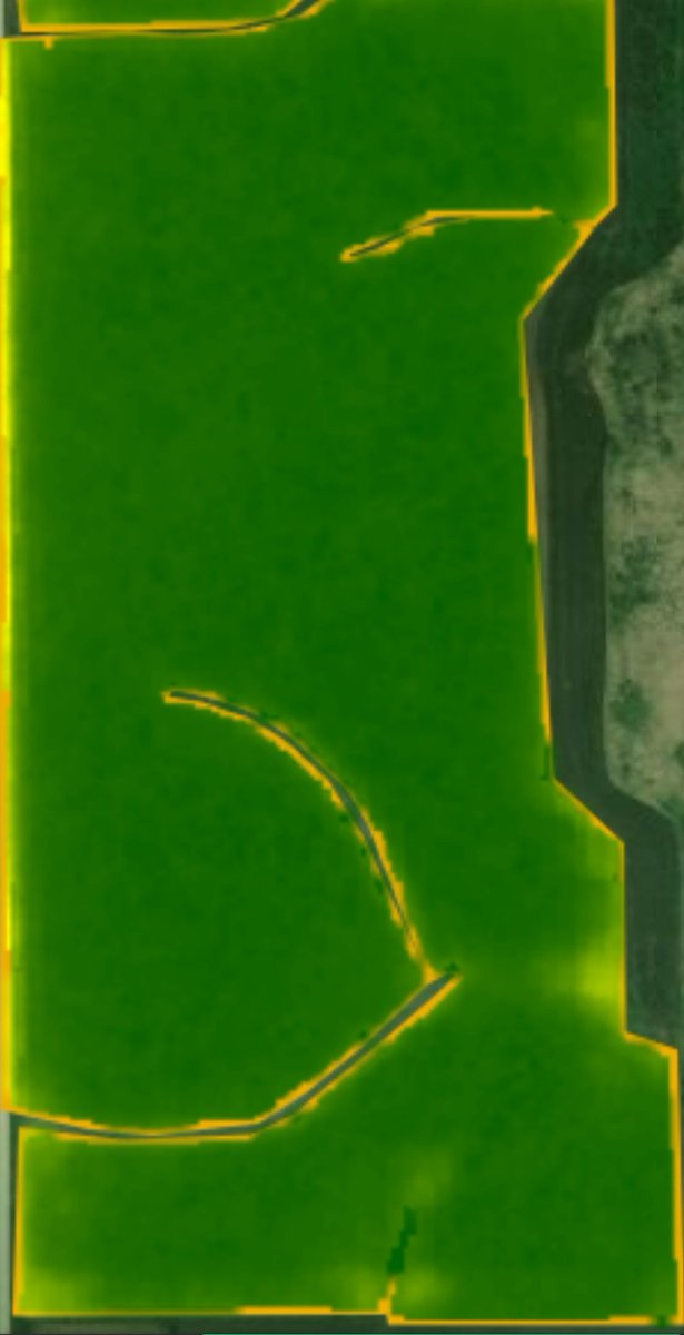 I know it does show everything but I like this crop health image on my beans. <a href="/farmers_edge/">Farmers Edge</a>