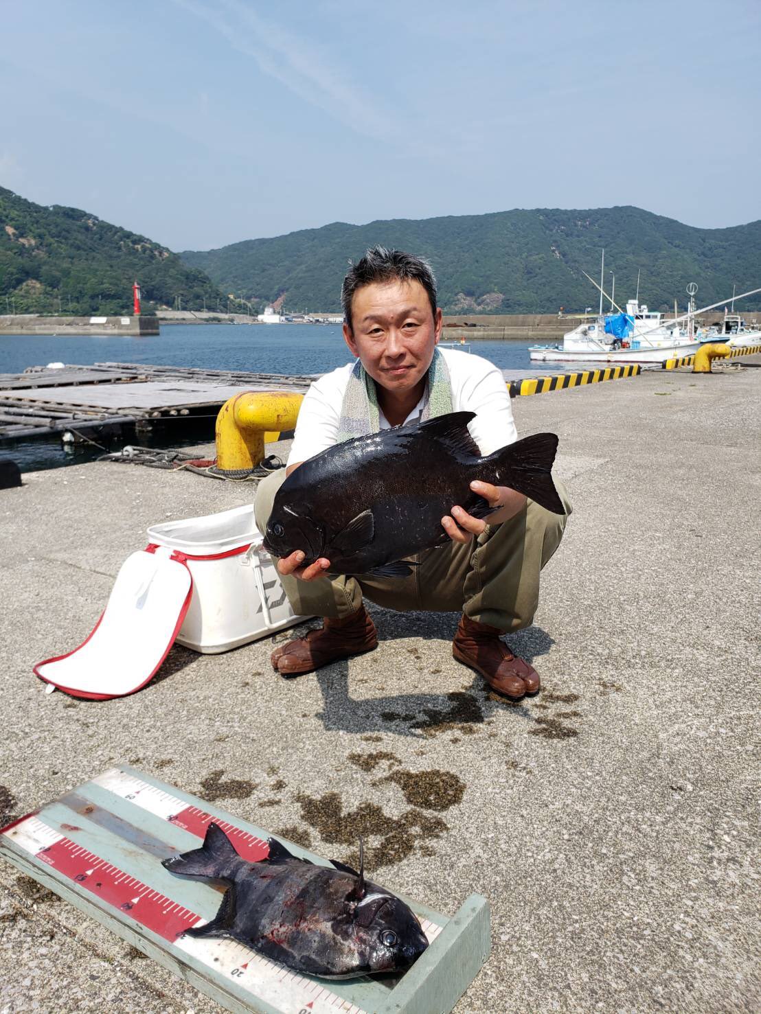 釣り鯛 En Twitter 同行したトクヤマ氏が激レアな魚を釣りました 石鯛と石垣鯛の天然交雑種のキンダイ50 です 雑種の為生殖機能は無いらしく美味しくいただきました 石鯛 石垣鯛 キンダイ イシガキイシダイ 天然交雑種 超激レア 釣り鯛 En Twitter 同行したトクヤマ氏が激レアな魚を釣りました 石鯛と石垣鯛の天然交雑種のキンダイ50 です 雑種の為生殖機能は無いらしく美味しくいただきました 石鯛 石垣鯛 キンダイ イシガキイシダイ 天然交雑種 超激レア