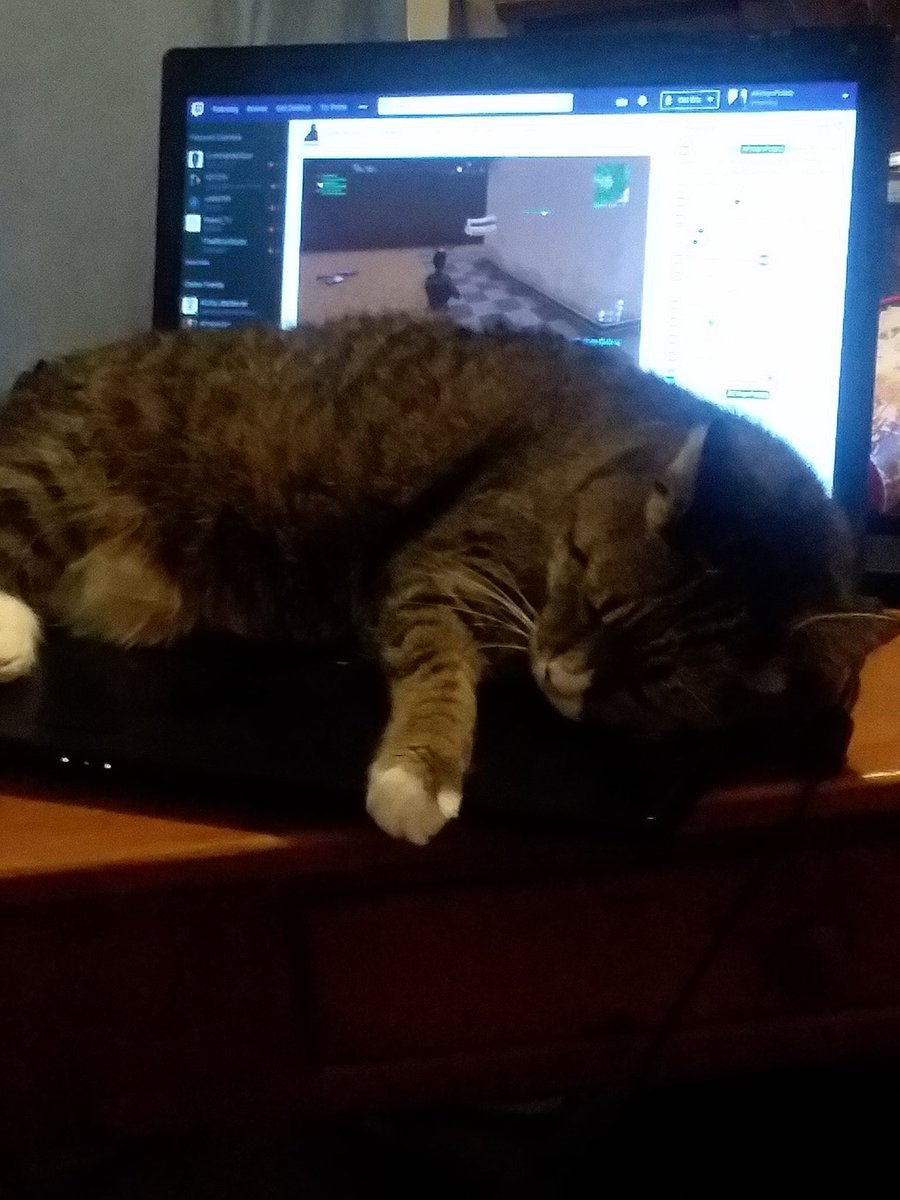 frikenpotato's tweet image. #streamingproblems #twitch #twitchstreamer #twitchaffiliate