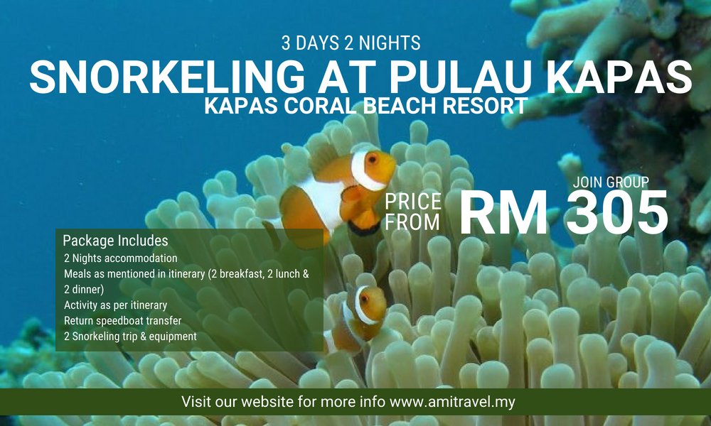 Amitravel My On Twitter Snorkel In The Sea Until Your Heart Contents With Our Package To Kapas Coral Beach Resort Visit Our Website For More Details Https T Co Ledpbgccub Amitravel Travel Pakejpercutian Pulaukapas Pulau