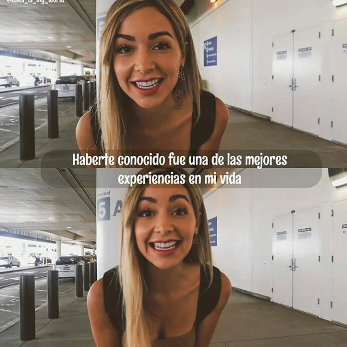 ArcegaVale's tweet photo. Así es todas ustedes 😭✨
Muchas gracias 🙏💕 por todo su apoyo son la mejor familia 👪 
✨caelikers✨💖😭 https://t.co/9vlyFpWA06