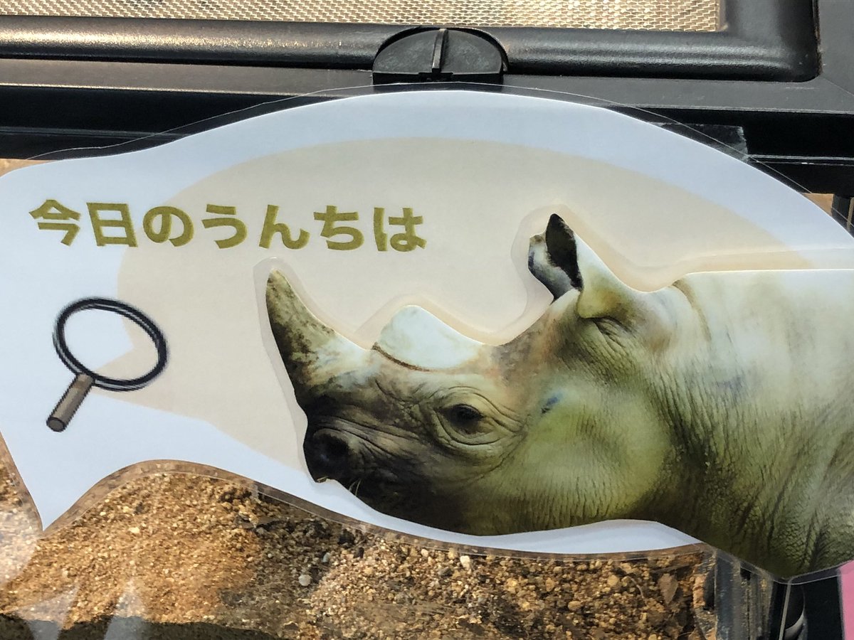 大阪eco動物海洋専門学校 Auf Twitter 大阪eco在校生のみんなが企画と準備したもにょ 思った以上に うんち もにょ ちなみに今日のフンコロガシのご飯は出来たてホカホカのサイうんち 天王寺動物園 大阪eco 企画展 うんち うんこ どっちなん どっちでも 大阪eco動物海洋専門学校 Auf Twitter 大阪eco在校生のみんなが企画と準備したもにょ 思った以上に うんち もにょ ちなみに今日のフンコロガシのご飯は出来たてホカホカのサイうんち 天王寺動物園 大阪eco 企画展 うんち うんこ どっちなん どっちでも