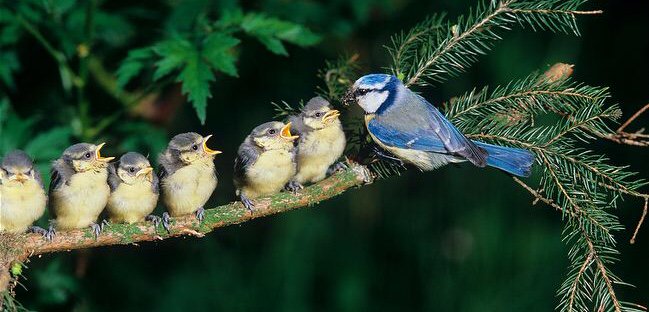 It’s not how much we give but how much love we put into giving.

Mother Theresa