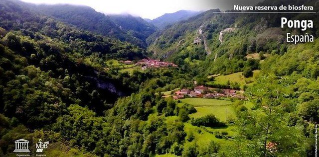 Whereisasturiascom On Twitter Congratulations Ponga In