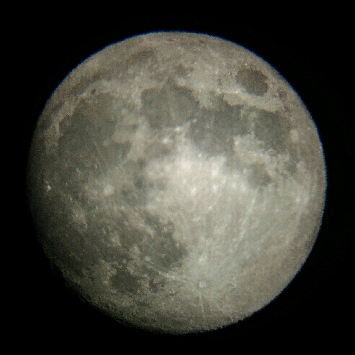 Jared the Skeptic tweet media