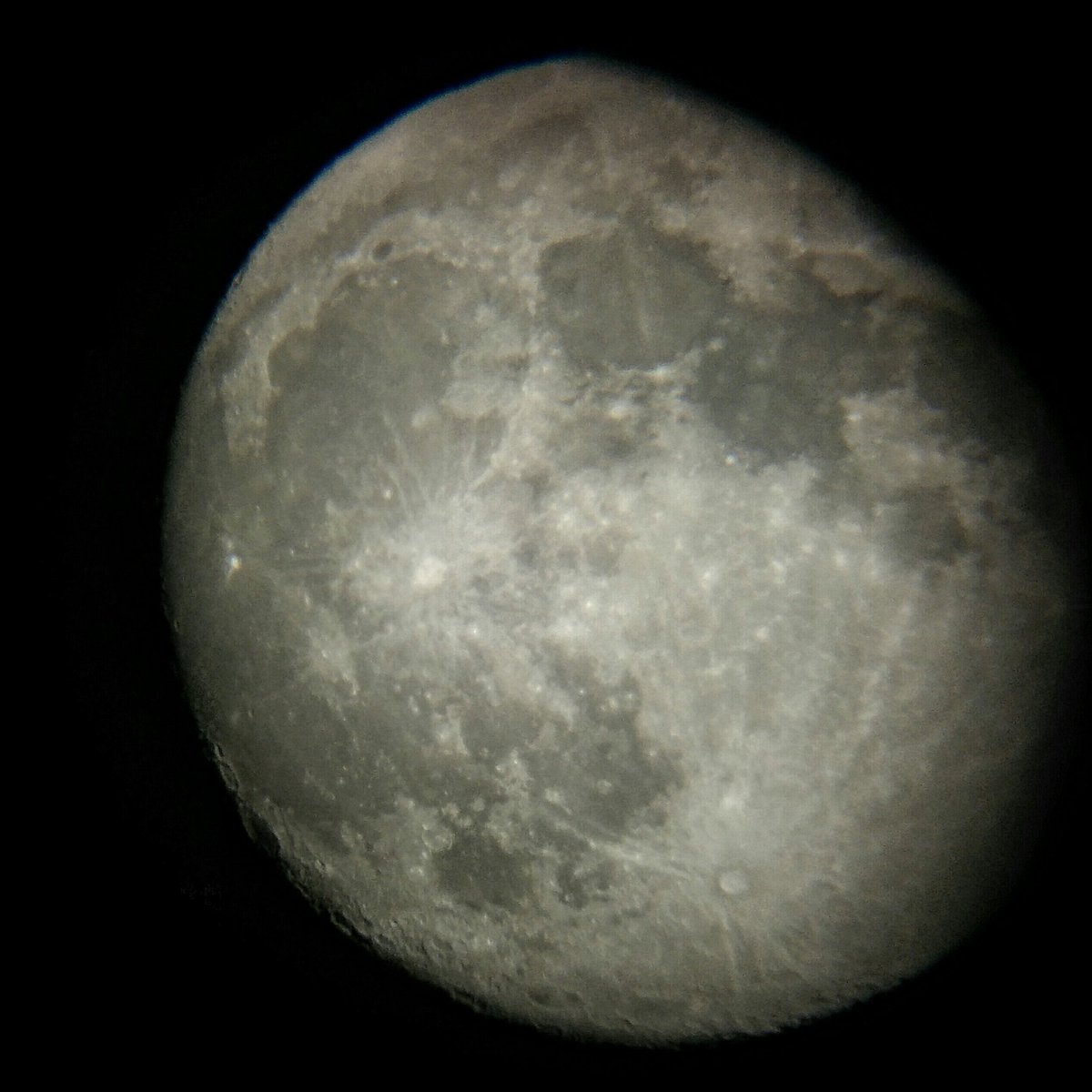 Jared the Skeptic tweet media