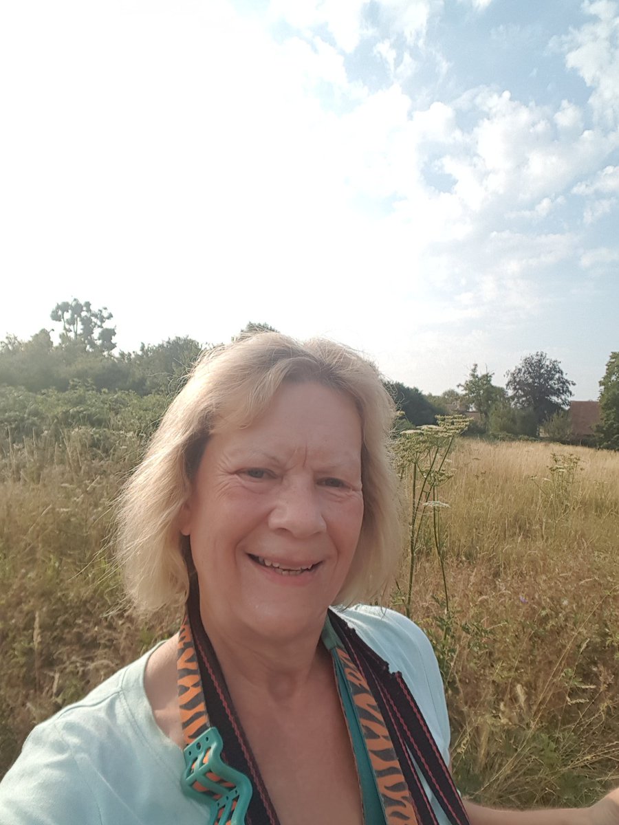 Liz Butterfield tweet media