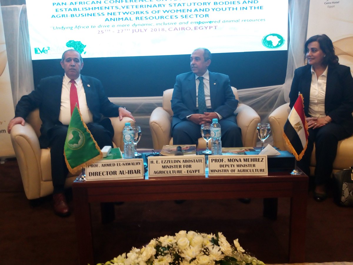 AYLFAIM2025's tweet photo. Now: H.E Ezzeldin Abostate Minister for agriculture in Egypt has arrived at Safil Hotel in launching ceremony of Pan African Conference on veterinary education establishements veterinary statutory bodies and agribusiness networks of women and youth in the animal resources sector. https://t.co/wQ69lPv18o