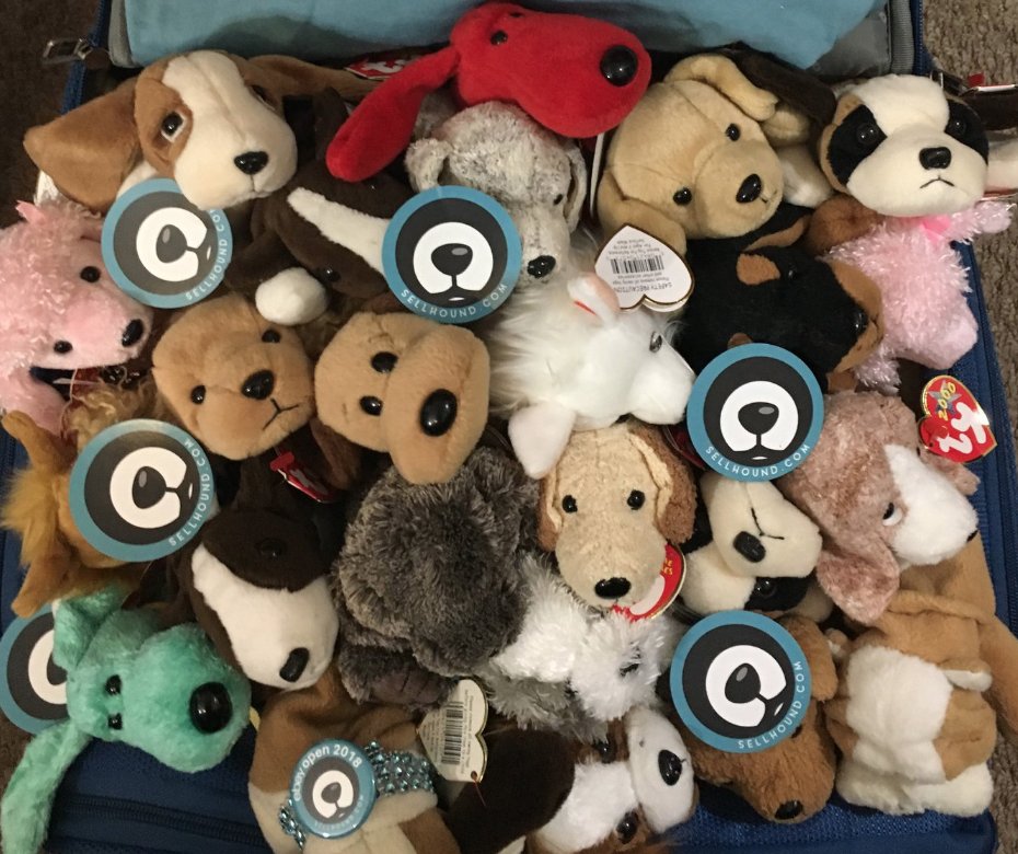 SellHound's tweet photo. SellHound schwag at #eBayOpen2018. One day to go! Have you seen our #PostingApp demo? Look out for our team in teal #SellHound shirts! #resellercommunity #eBay #doggies #womenofSellHound https://t.co/NEwmwuPKv1