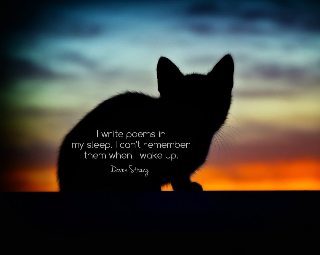 devonstranger's tweet image. Daily Haiku 1085. (c) Devon Strang #haiku #dailyhaiku #devonstrang #poet #poem #poetry #write #writer #writing #words #wordporn #love #lovepoem #lovequote #dream #dreams #dreaming #remember #wake #wakeup