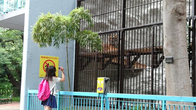 野毛山動物園の混雑状況や夏休み ナイト 駐車場の混み具合と所要時間 混雑状況 待ち時間 割引情報を配信するブログ