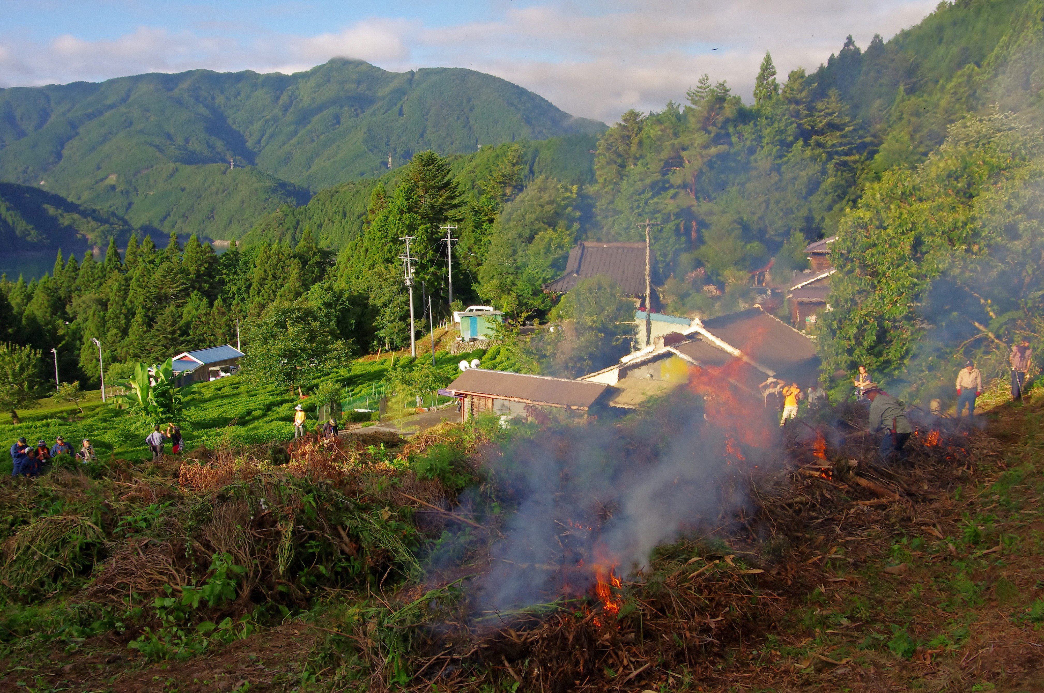 تويتر 静岡市 على تويتر 中山間地振興課です 今年の夏はオクシズで貴重な体験を 井川の焼畑18 夏 参加者募集中 詳しくは下記urlからご確認ください 問合せ 井川の焼畑農業の会事務局 Tel 054 260 2377 T Co Nkm0nu3m6k 静岡市 T