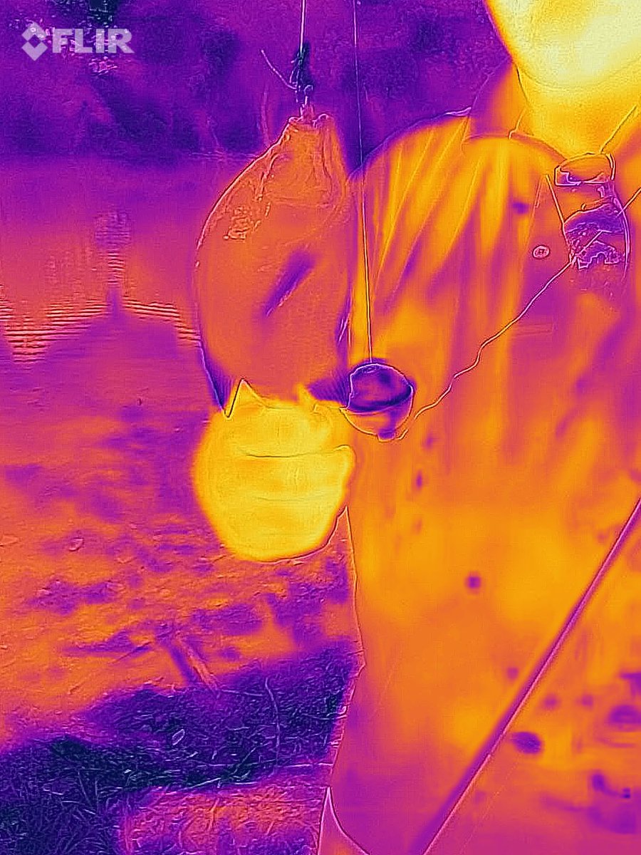 kevinrherndon's tweet photo. #cubscouts Pack fishing with @flir #flirproone lots of #fishing and even a #bullfrog @boyscoutsofamerica @hoacbsa #pack3289 #springhillks @springhillrec #summertimepackmeeting #julypackmeeting #fishingwithscouts #scoutfishing #ksfishing #cubscouts https://t.co/ehGLH9MXYP