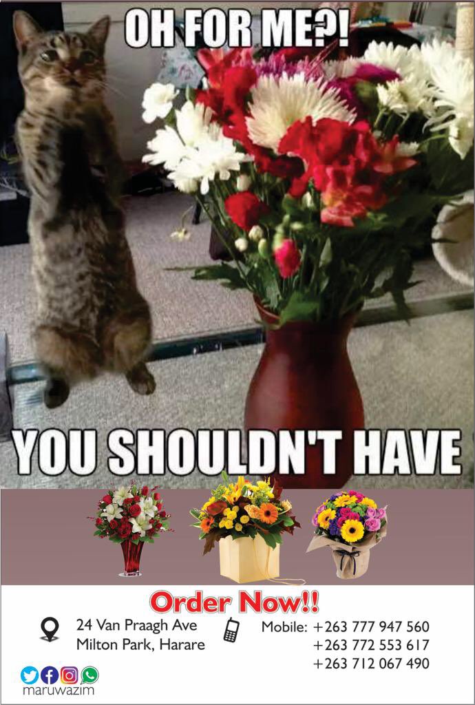 maruwa.co.zw door to door Flower and Gift delivery across the globe.