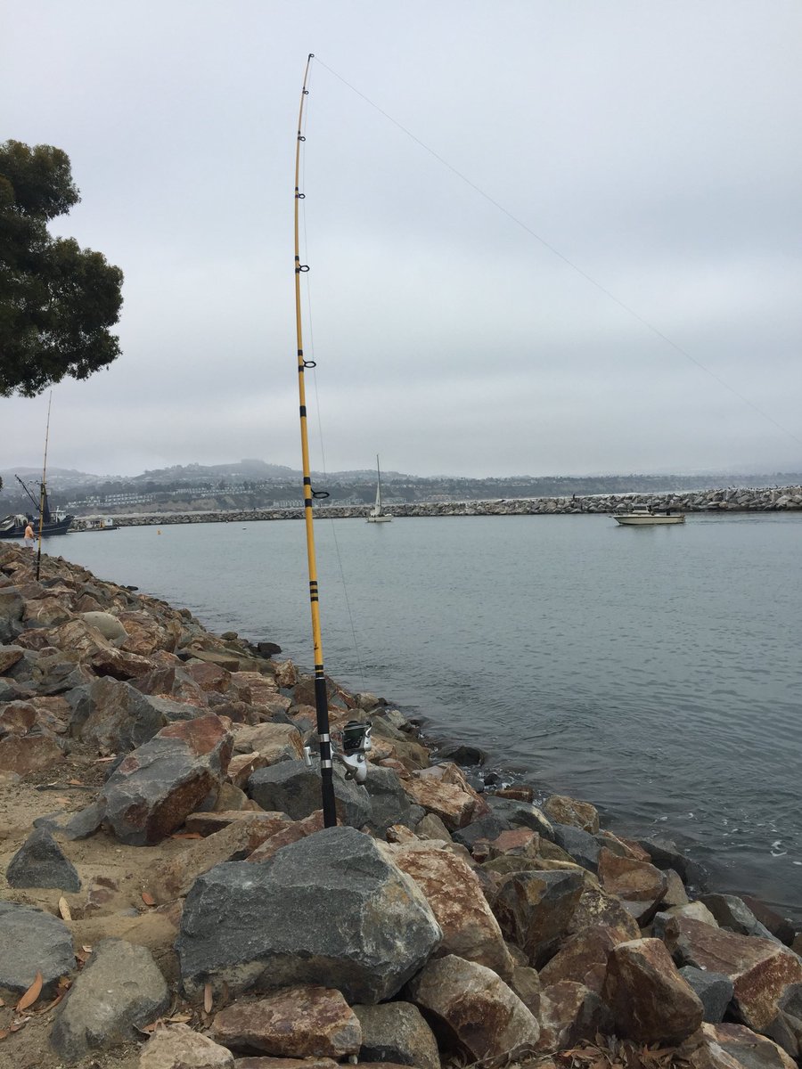 SouthOCSurffish's tweet photo. OC beaches getting tossed, dropped back to Dana Harbor for a few hours.  The marine layer kept it nice and cool on a hot day. Got a pair of skates and it still amazes me how they take 7/0 hooks. #surffishing #orangecounty #danapoint #socal #fishing https://t.co/HbI57j4qBZ
