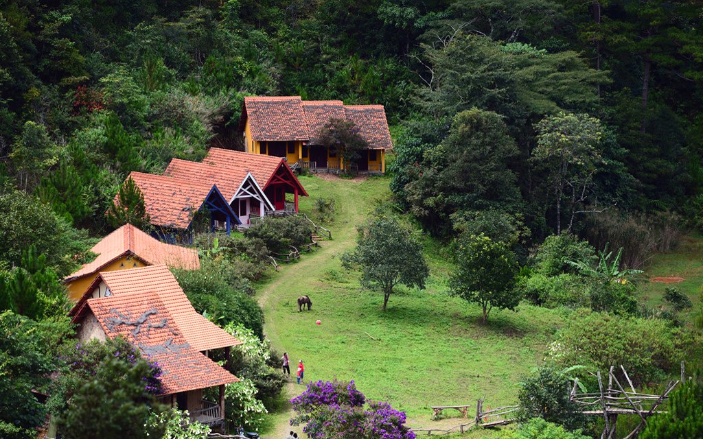 VietMedia01's tweet photo. Some places in Vietnam for travel in August 
Unlock select your journey savings by one click: https://t.co/GcN9wLg2IC
#vietnam #vietnamtravel #amazingvietnam #discoverglobe #beautifuldestinations #beautifulpictures #discove #explore #natural #traveltoindochina https://t.co/8rFIdLR5hv