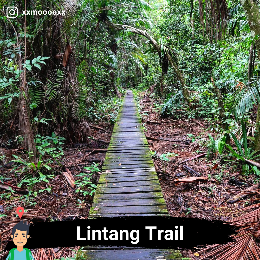 mattravelmy's tweet photo. 44. Lintang Trail, Sarawak
45. Mulu National Park, Sarawak
46. Gunung Santubong, Sarawak

#MatTravel #MatTravelThreads #LokasiHikingMalaysia https://t.co/9MYzniKJDW
