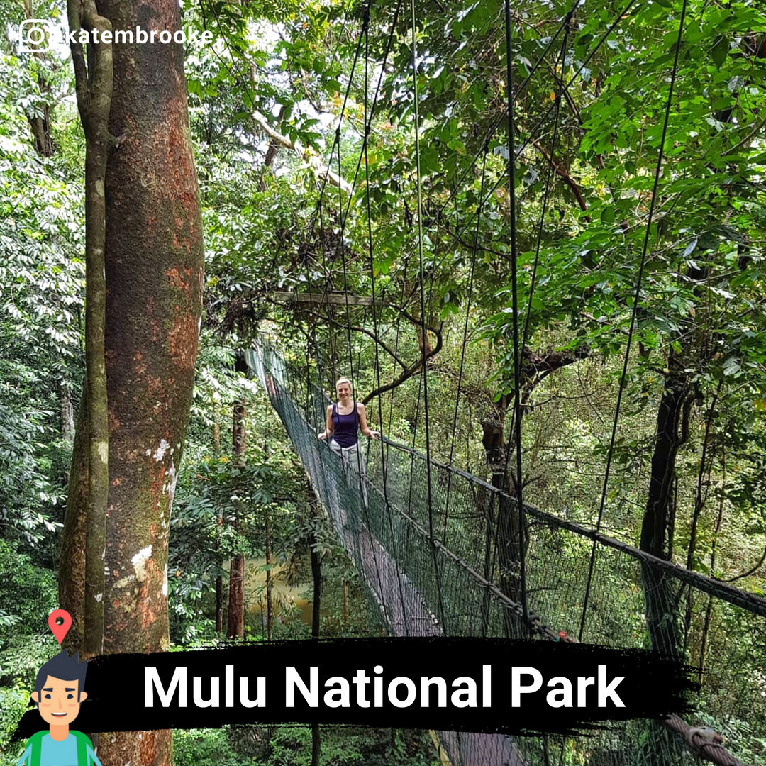 mattravelmy's tweet photo. 44. Lintang Trail, Sarawak
45. Mulu National Park, Sarawak
46. Gunung Santubong, Sarawak

#MatTravel #MatTravelThreads #LokasiHikingMalaysia https://t.co/9MYzniKJDW