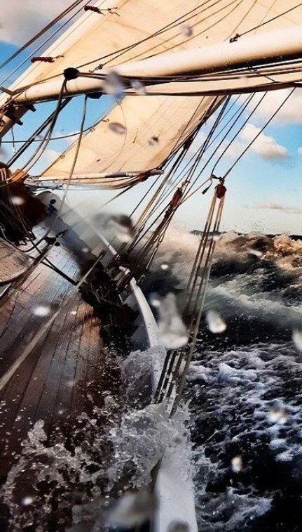 nemo652's tweet photo. #ScrivoDelMare 
"Il mare è pericoloso e le sue tempeste terribili, ma questi ostacoli non sono mai stati un motivo sufficiente per rimanere a riva." 🌿
-Ferdinando Magellano -

#BuongiornoATutti ☕
#26luglio https://t.co/eKuPIWmmSU