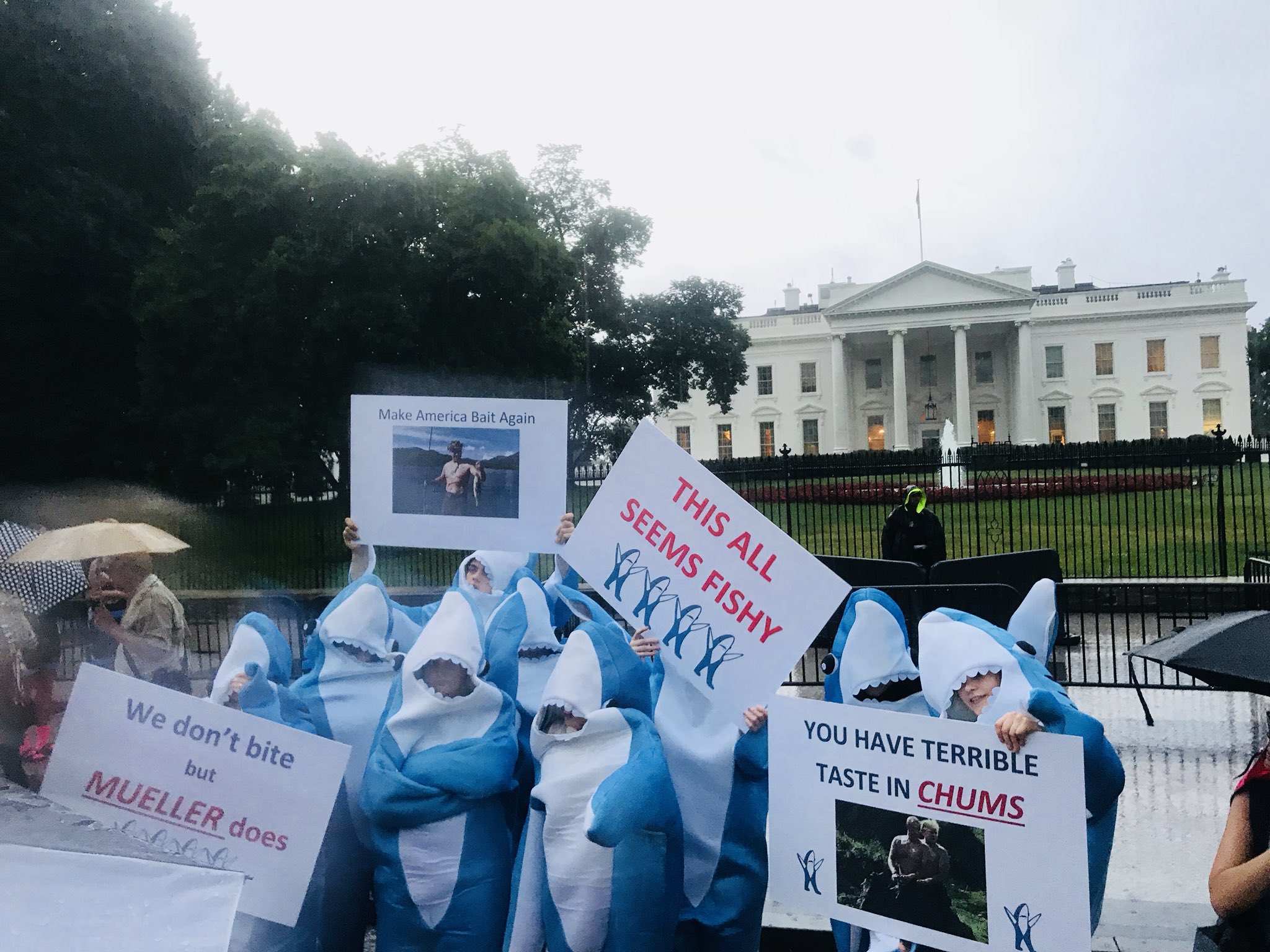 DjAVk-WX4AAk5gF?format=jpg&name=large