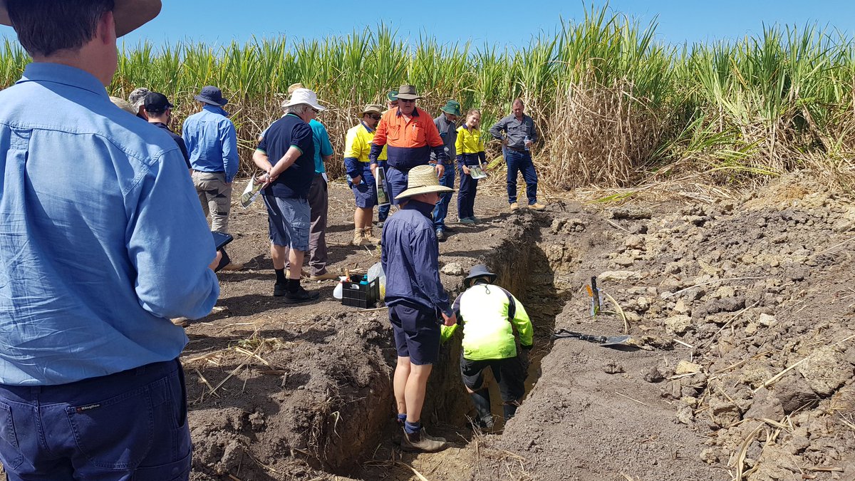 kaateelysee's tweet photo. Learning all things #precisionag at @QldFarmers Precision ag and EM Mapping workshop for #agextension officers! Loved getting out in the field too looking at soil parameters in PA #AgChatOz #AusAg https://t.co/iuKxnsgTeN