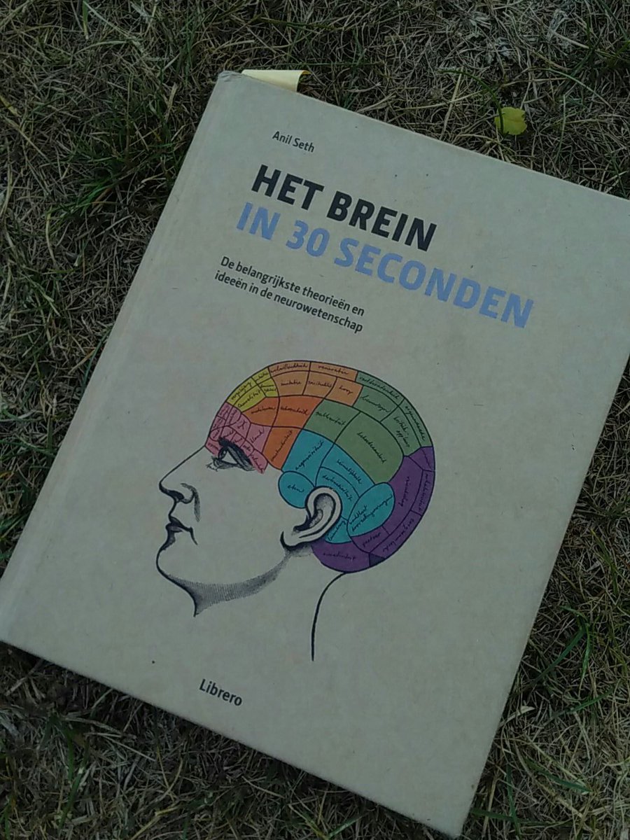 Jongste heeft n zomerbreak van het #thuisleren. Ze pakt haar hobby op: leren over het brein.  #thuiszitters #hoogbegaafd