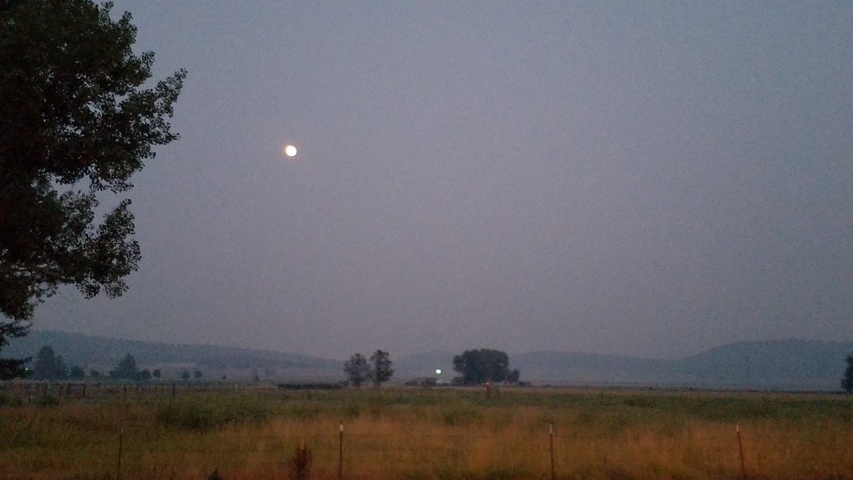 annacbonanza's tweet photo. I'm pretty done with this smoke right about now. #fireseason #breathingisoverrated https://t.co/nWLAijvGd5