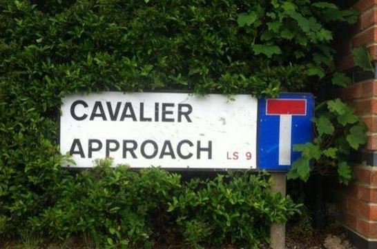 GoldretrieverUS's tweet photo. Very odd signs seen while walking your dog.  🤔
   "Caviler Approach"
#Goldenretrievers #RetrieverLab #Signs #DogWalking #DogCelebration https://t.co/JgnrcTqTaZ