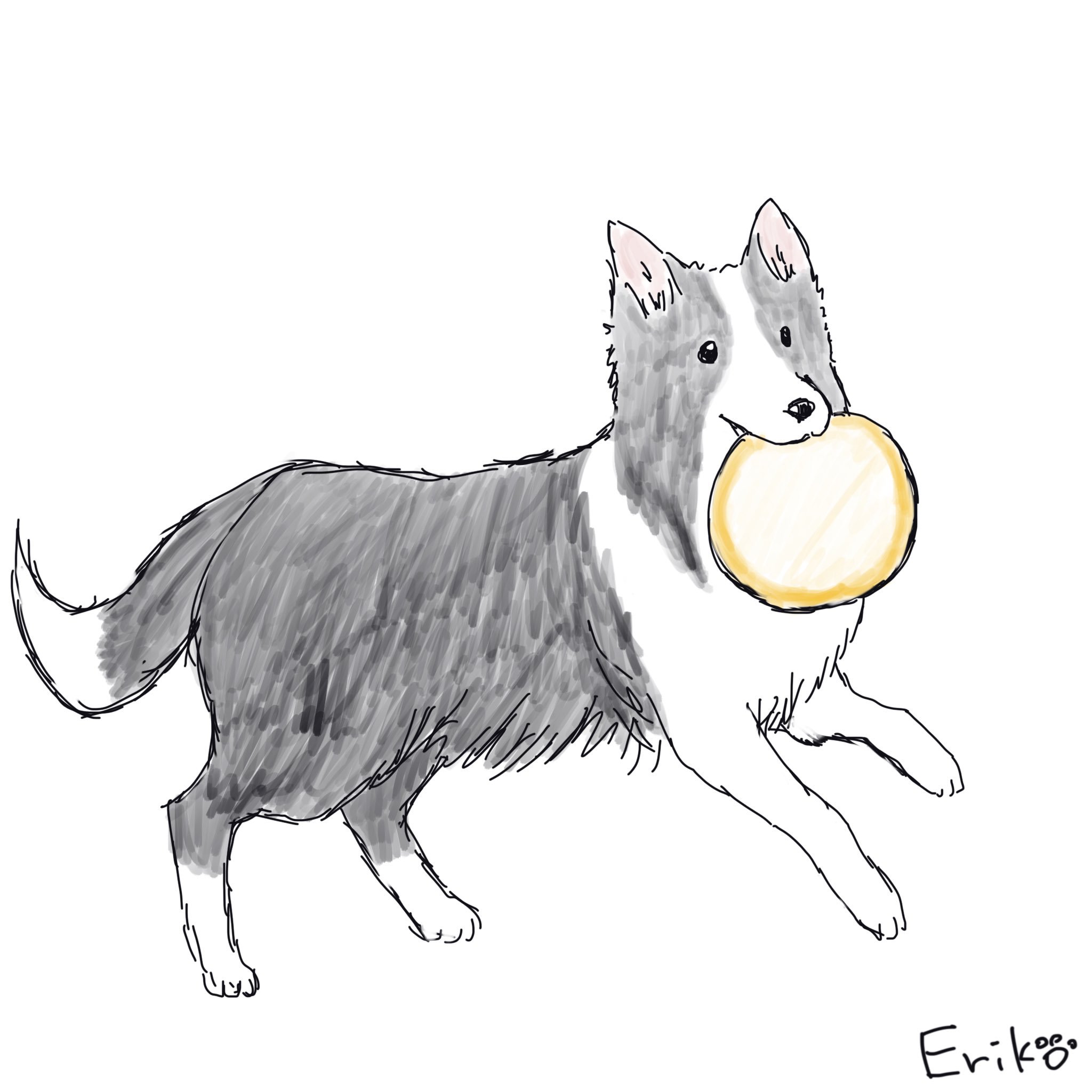Eriko S Dog Cat Sketch Dogcatsketch Twitter