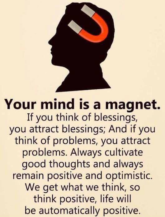 divfolio's tweet image. 