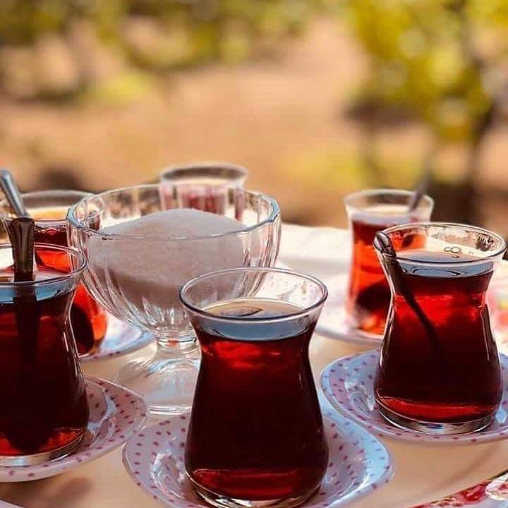 Biz çayı deminden, 

Arif olanı sözünden biliriz Hafız.