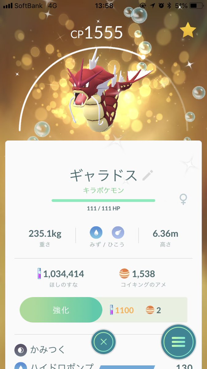 キラキラポケモン キラキラポケモン