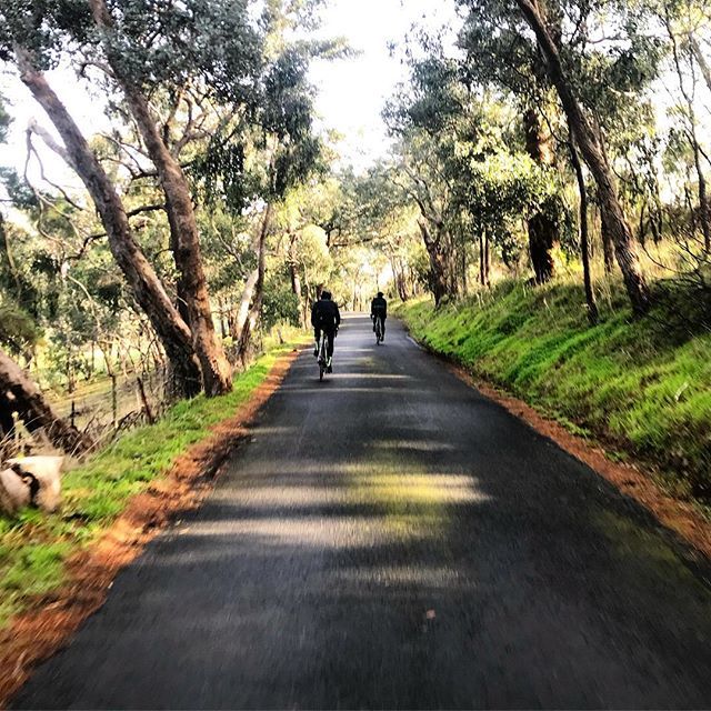 bikegallerymelb's tweet photo. Out and about... Winter riding isnβt that bad!
.
.
.
.
#wymtm | #melbourne | #q36_5 | #localloops | #notbeachroad | #bikegallerymelb https://t.co/H8Jtrq6rwt https://t.co/IcQAE4WswL