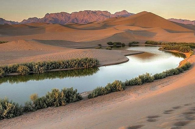 surfiran's tweet photo. Pasab wetland, #Yazd, Yazd province, #Iran
#SURFIRAN #TravelIran #irantours #pin #traveliran #instatravel #travelgram #traveling #WorldCaptures #TravelStoke #BeautifulDestinations #MeetTheWorld #IranAdventuretour #IranAdventure #seeyouiniran https://t.co/bbSEEU6TEd
