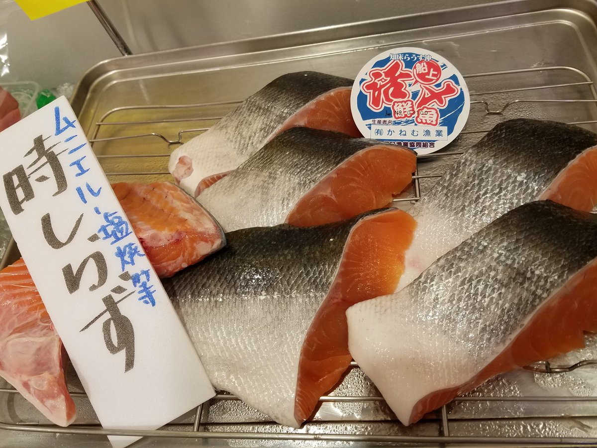 ট ইট র 魚市 二子新地鮮魚店 魚市です おはようございます 本日のおすすめ 北海道産天然生時しらず切身 気仙沼産生かつお刺身 タタキ 宮城産自家製〆さば 千葉産活〆真こち刺身 宮城産活〆まこがれい刺身 北海道産生スルメイカ 魚市海鮮丼