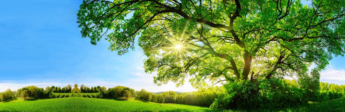 VisionSuper's tweet photo. We've scored 'AA' for managing climate risk and rated number 4 in Australia by the Asset Owners Disclosure Project. #climatechange #super #visionsuper https://t.co/0WNvqrlZqR https://t.co/PAQe7JvYQH
