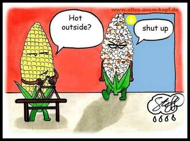 🌽☀😂