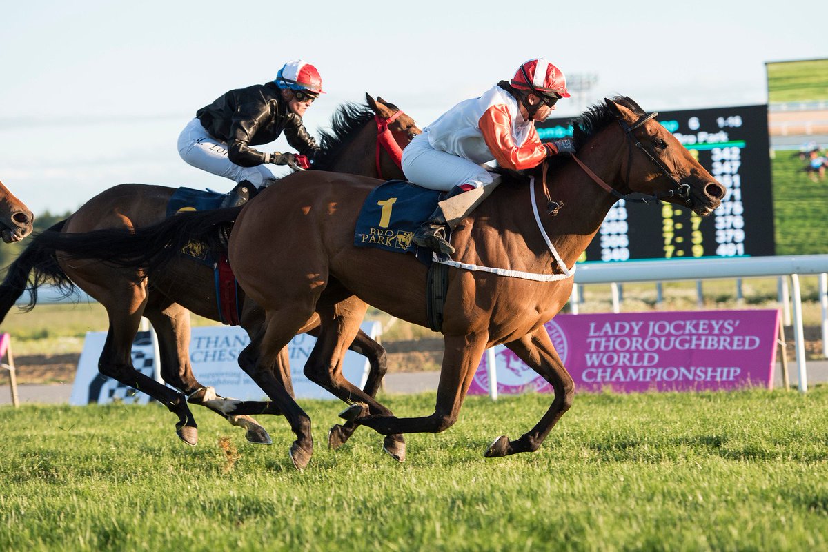 Ten days to go! Don't miss the Lady Jockeys' Thoroughbred World Championship in Sweden on 5th August. #LJTWC