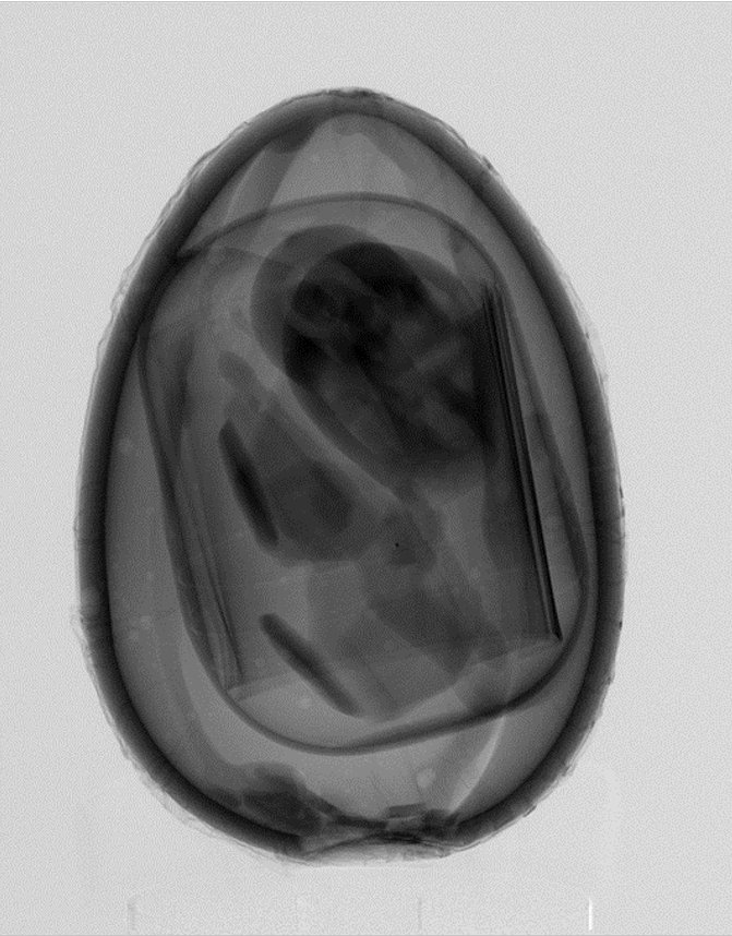 Ian Butler tweet media