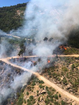 Ver imagen en Twitter