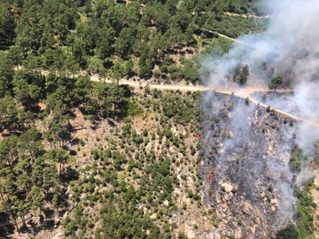 Ver imagen en Twitter