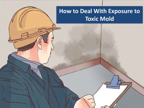 WaterDamage_Res's tweet photo. How to Deal With Exposure of Toxic Mold

Read: https://t.co/HCUbk571Cg

#MoldRemediation #MoldRemoval #MoldRestoration #raleigh #northcarolina https://t.co/qOMcKgYE94
