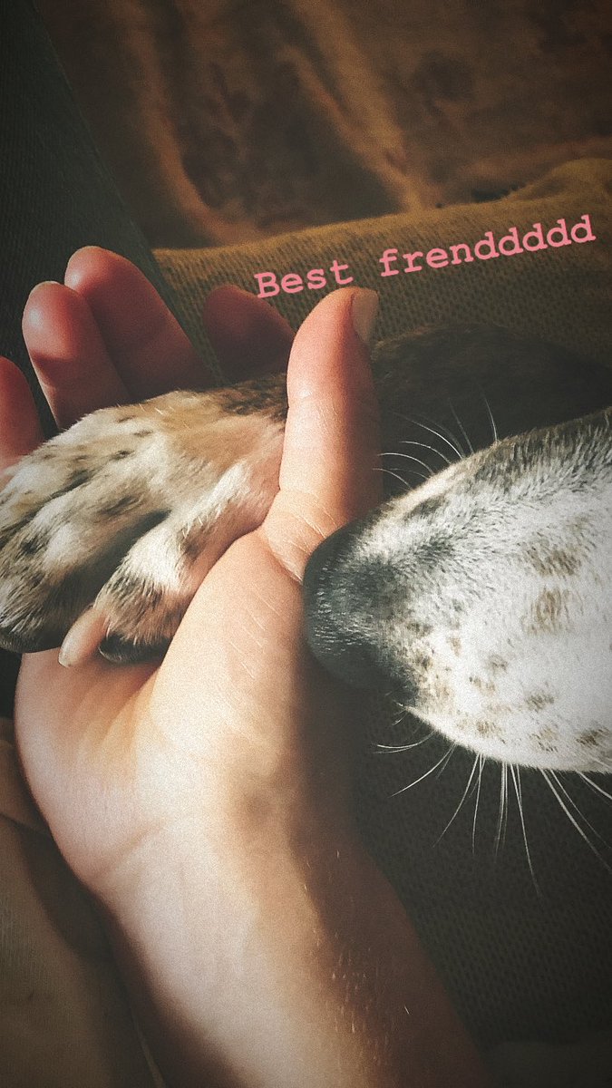 [@EmilyBett via IG Story]
Best frenddddd