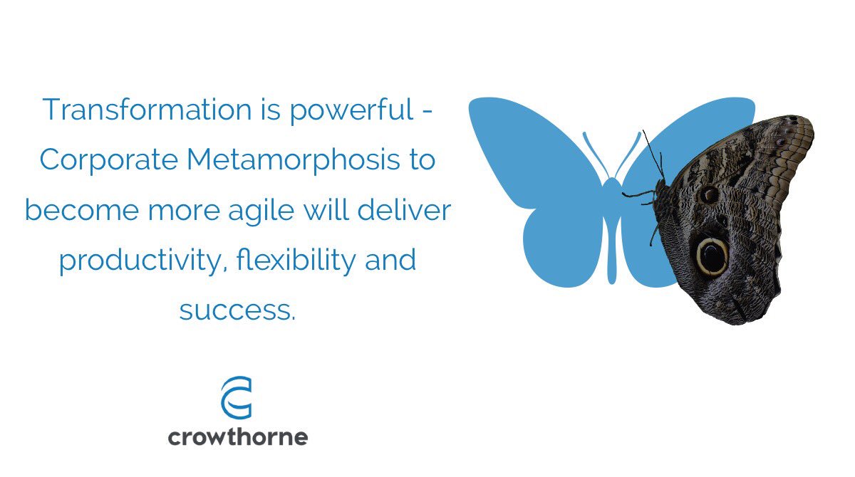 Working with companies to realise their full potential in becoming truly agile. Maximising all possible benefits. #itc #consulting #success #crowthorne