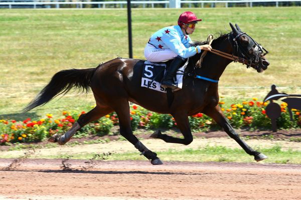 Paris_Turf's tweet photo. Nos bonnes notes en piste ce jeudi 26 juillet #bonnesnotes #trot #Galop 

https://t.co/dPQuleh6Bx https://t.co/mTr9cFF6K8