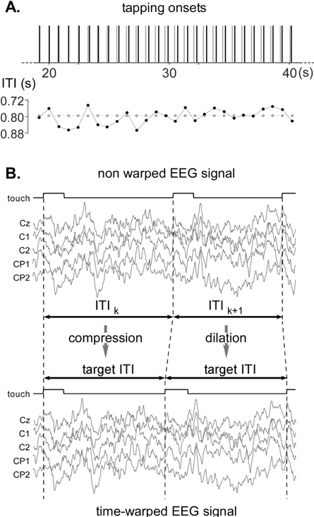 NocionsLab's tweet photo. "EEG Time-Warping to study non-strictly-periodic EEG signals related to the production of rhythmic movements". New paper by Baptiste Chemin et al. out in Journal of Neuroscience Methods! #frequencytagging #timewarping https://t.co/VPM13UVoIM https://t.co/lyRkTKMCyJ