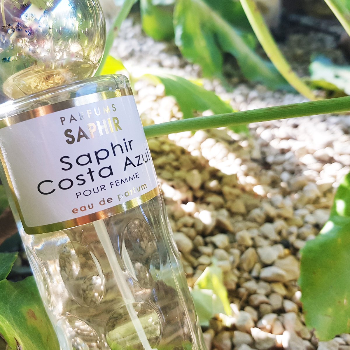 Saphir Parfums tweet media