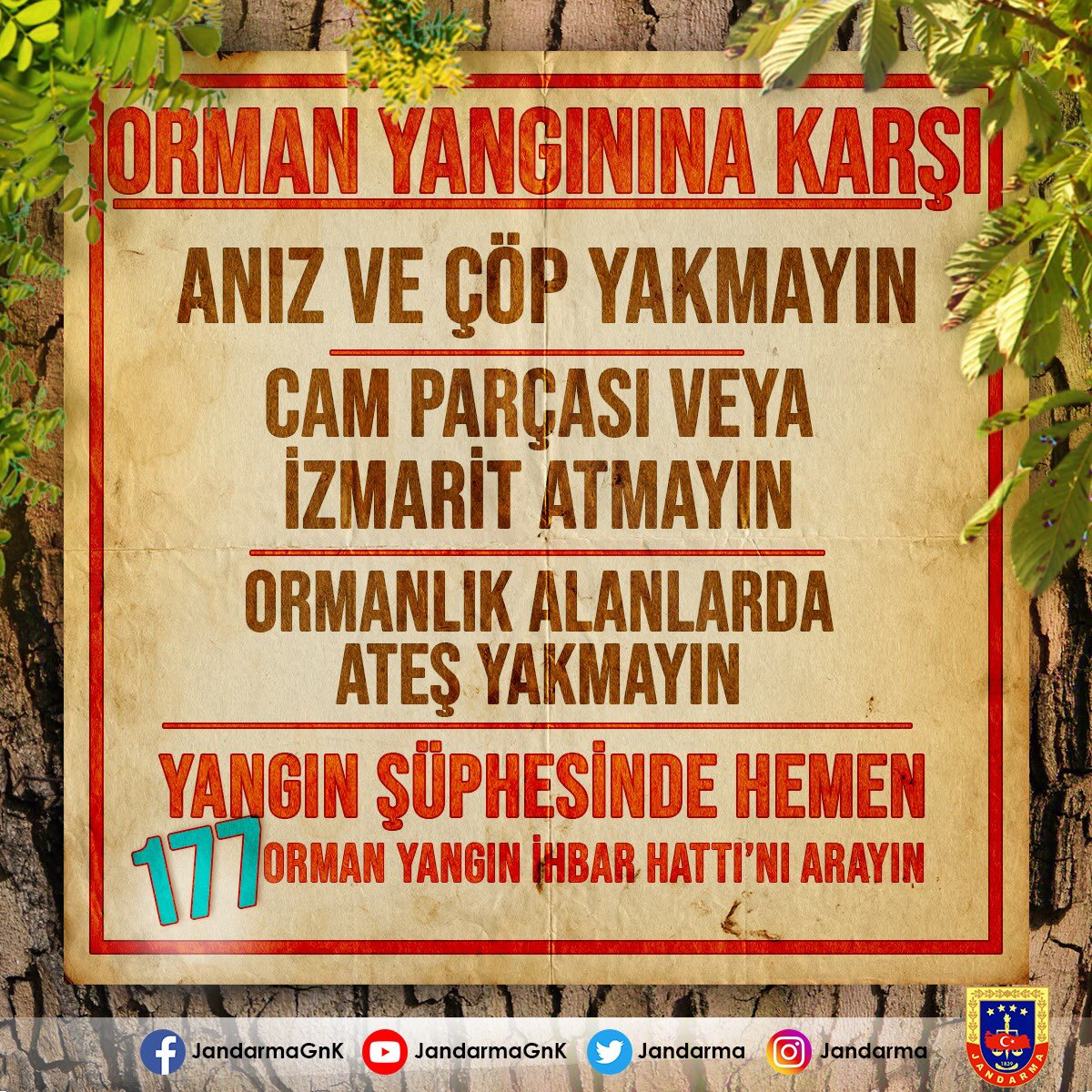 Doğal hazinemiz ormanlarımızı koruyalım, yangınlara karşı bilinçli olalım. Yangın şüphesinde hemen 177 Orman Yangın İhbar Hattı'nı arayın. 🌲🌿🍀