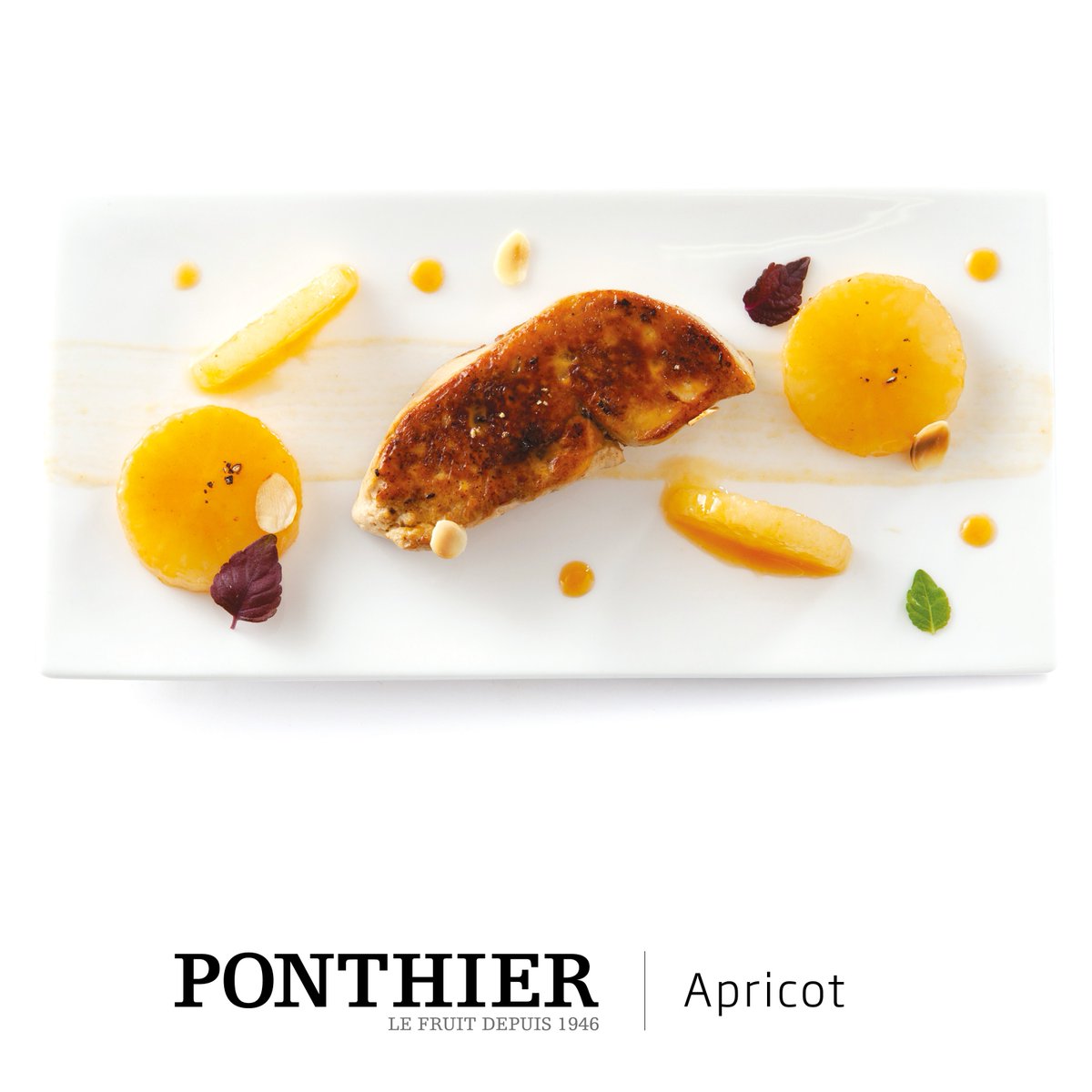 A wonderful recipe based on foie gras and Ponthier apricot puree!
#ponthier #savory #apricot #puree #foiegras