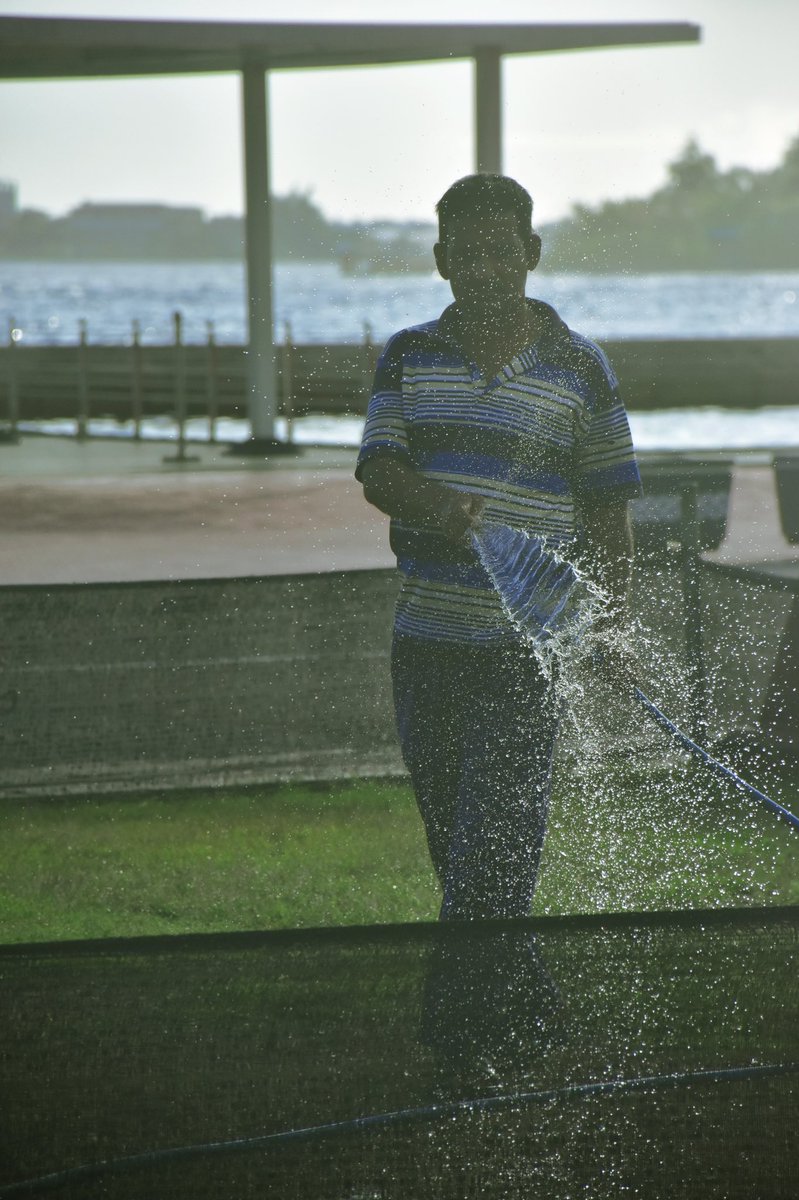 tedmaldives's tweet photo. Early in the morning, A foreign worker watering the green grasses of independence square, in Maleβ Maldives. I wish all a very happy Independence Day ! π²π»
#Maldives #Independenceday #26july #53yearsofindependence #independensday2018 #Visitmaldivs https://t.co/4uO15iOeG6
